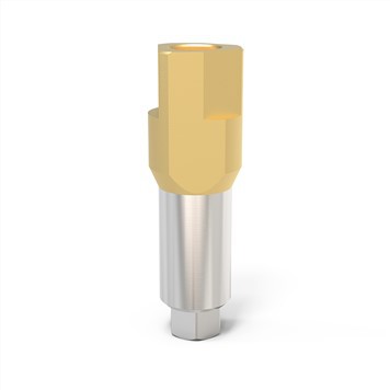 زیمر اسکن بدنه